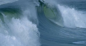 USA: DOE Provides $1.9 Mln in Funding for Ocean Energy Environmental Effects Assessment and Monitoring