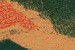 HR Wallingford: Cellular Automata Models Presented (Belgium)