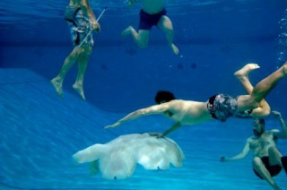 VIDEO Virginia Researchers Unveil Robotic Jellyfish (USA