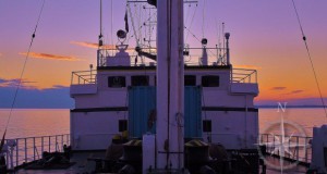 Exploration Now Offers Unprecedented Access to Deep-Sea Explorations