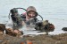 Australian Clearance Divers Clean Up Unexploded Ordinance in Solomon Islands