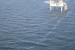 BSEE: Flow of Natural Gas Stopped on Hercules 265