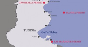 Circle Oil Acquires Remaining 30 Pct Interest in Mahdia Exploration Licence in Tunisia