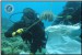 Navy Divers Participate in Underwater Clean Up in Albay Gulf (Philippines)