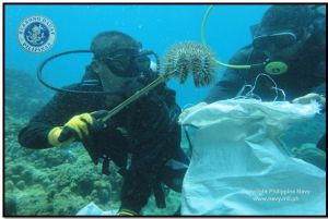Navy Divers Participate in Underwater Clean Up in Albay Gulf (Philippines)