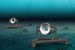 BOEM: Environmental Assessment Available for Marine Hydrokinetic Technology Testing