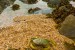 Coastline Surveys Receives ISO 14001:2004 (UK)