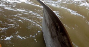 Hydrex Performs Underwater Propeller Blade Straightening in New Orleans