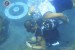 Naval Forces Southern Luzon Participate in Launching and Deployment of Coral Pods