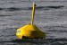 Canada: AOE’s Test Buoy Captures Ocean Energy in Sooke Basin
