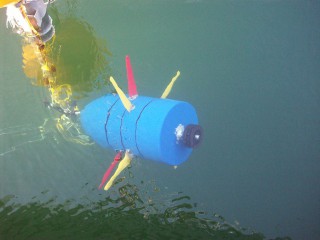France Declares Its Tidal Power Ambitions