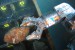 Nautilus Releases Update Regarding Arbitration with Independent State of Papua New Guinea
