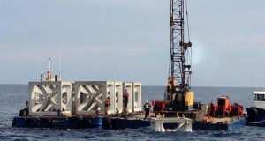 New Artificial Reef Rises in Mandurah Region (Austeralia)