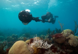 World's Largest Coral Reef Library Launched2
