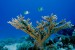 Climate Change to Undermine World’s Oceans By 2100, Study Says