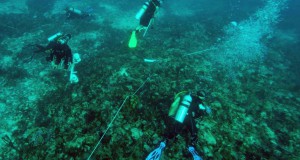 IMARES Wageningen UR Organises Research Expedition to Investigate Saba Bank.