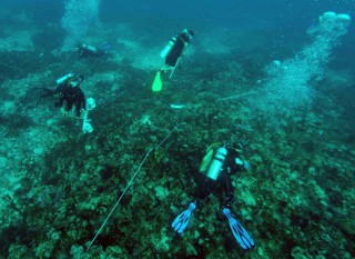 IMARES Wageningen UR Organises Research Expedition to Investigate Saba Bank.
