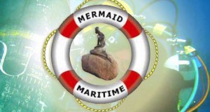 Non-Executive Director Named at Mermaid Maritime