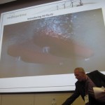 OE 13 Adresses Wave & Tidal Energy Development4
