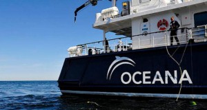 Oceana Welcomes European Parliament's Positive Steps