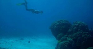 Surviving in the World's Hottest Sea