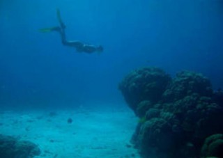 Surviving in the World's Hottest Sea
