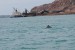 BMT to Provide Specialist Marine Environment Support to Pluton (Australia)