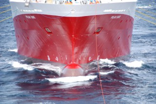 Dolphin to Starts 3D Seismic Survey for Indian Client