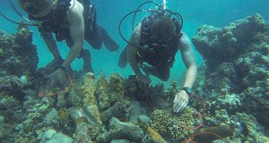 EOD Techniques Used in the Solomon Islands