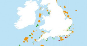 REA Welcomes Cretaion of 27 New Marine Conservation Zones