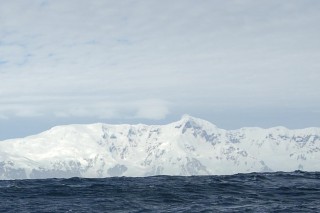 Antarctic Marine Life Flourishes Despite Warming