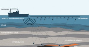 Rex Suspends Drilling of 1st Exploration Well in Oman
