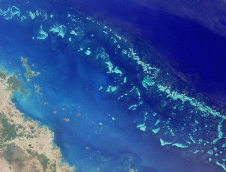 Australian Marine Conservation Society Calls on GBRMPA to Refuse Dumping Permit