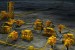 Aveon to Fabricate Subsea Structures for Egina Field