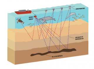 Congress Holds 'Dog and Pony Show' on Seismic Airgun Use in Atlantic