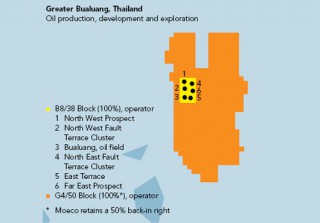 Damaged Riser Causes Temporary Production Shut-In at Bualuang Oil Field
