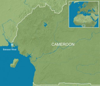 Dana, Petroleum, Starts, 2D, Seismic, Survey, Bakassi, West, Cameroon,