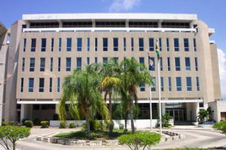 ISA to Standardize Fauna Taxonomy