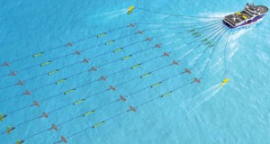 Liquidators Recover Seismic Data Surveys Money