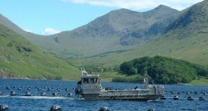 Guidelines for Fisheries Liaison Around Offshore Renewables Developments Published