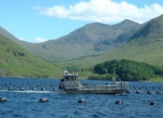 Guidelines for Fisheries Liaison Around Offshore Renewables Developments Published
