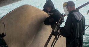 Hydrex Repairs Container Vessel Propeller Blades (Singapore)