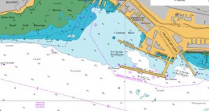 LINZ Offers Its RNCs Free Online