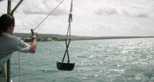 NOAA High Levels of Pollutants in Guánica Bay Represent Threat to Corals and Fish
