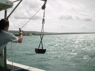 NOAA High Levels of Pollutants in Guánica Bay Represent Threat to Corals and Fish