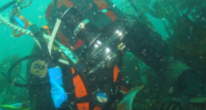 Diver-inspecting-EMEC-cables-Image-EMEC