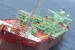 BW Offshore Inks Contract Extension for Sendje Berge FPSO