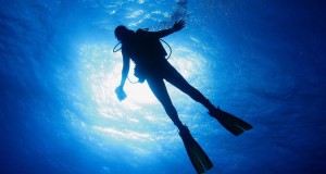 France-Port-Atlantique-de-La-Rochelle-Seeks-Diving-Services