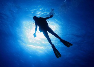 France-Port-Atlantique-de-La-Rochelle-Seeks-Diving-Services
