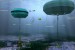 Carnegie to Depoly CETO 6 Technology at Wave Hub (UK)